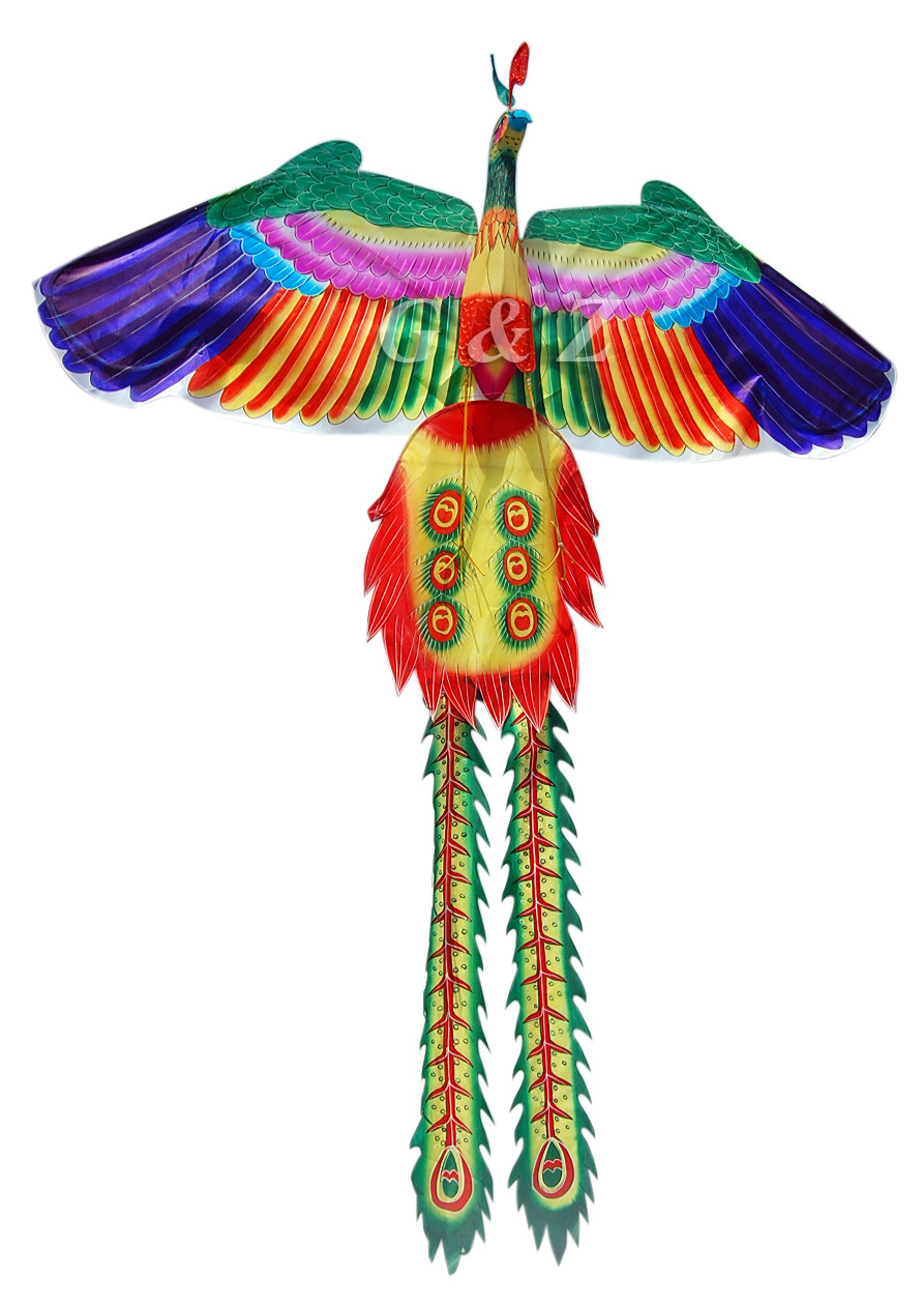 ZS-Juyi Beginner Phoenix Kites 86x 57Inch for Kids and Adults Bird Kite Phoenix with Long Colorful Tail 