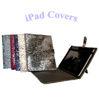 Apple iPad Cases