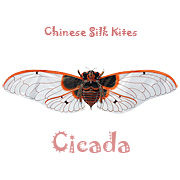 Chinese Cicada Kites - White