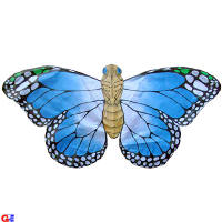 blue butterfly kite