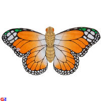 orange butterfly kite