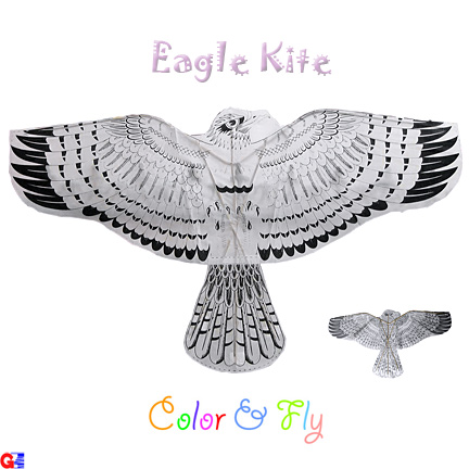 flat eagle kite - color & fly