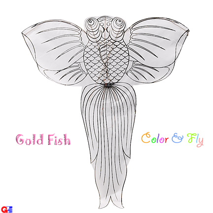 Chinese goldfish kite - color and fly