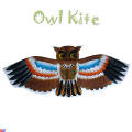Flat nylon owl kite