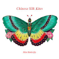 Mini green butterfly kite