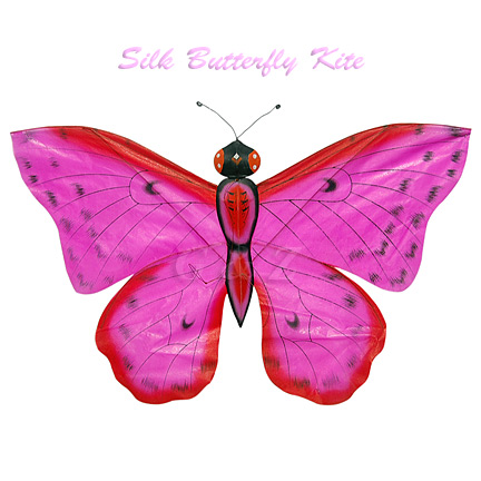 Hot Pink Butterfly Kite