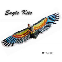 TC-E03 large silk eagle kite