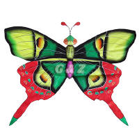 Silk Butterfly Kite - Green Wings w/Red Tails