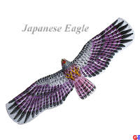 Colored Japanese Eagle Kite