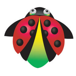 Ladybug nylon kites