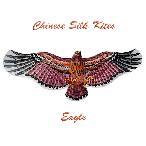 Super size eagle kite