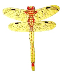 large yellow nylon kite - dragonfly