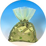 green glittering jewelry pouch